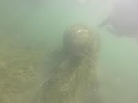 Review Image by joseph petty joseph petty