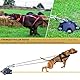 Hundeanker für kleine bis große Hunde bis zu 68 kg, patentiert, 360° drehbar – Hundeleinenpfahl mit 5 starken Haltegurten hält 453,6 kg Zugkraft (Pfahl mit 10 Kabeln)