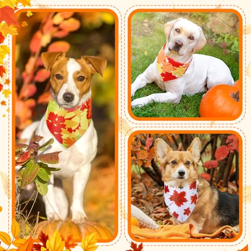 Image of Abbylike 50 Pcs Fall Dog Bandanas Bulk, Autumn Maple Leaves Pattern