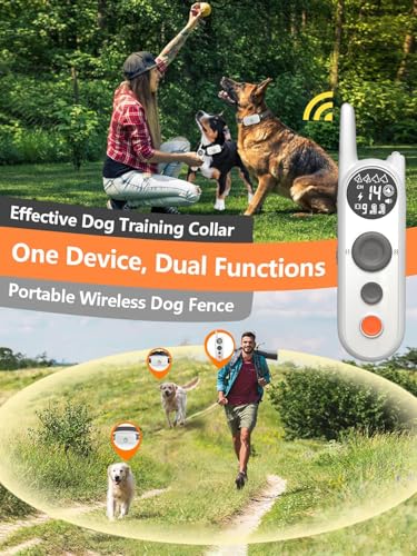 Wireless Dog Fence System Components