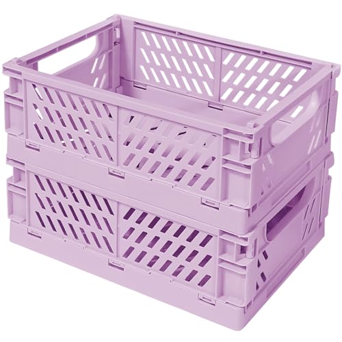 Tobeso-Nuoze Mini Pastel Plastic Storage Baskets 2 Pack Collapsible Crates