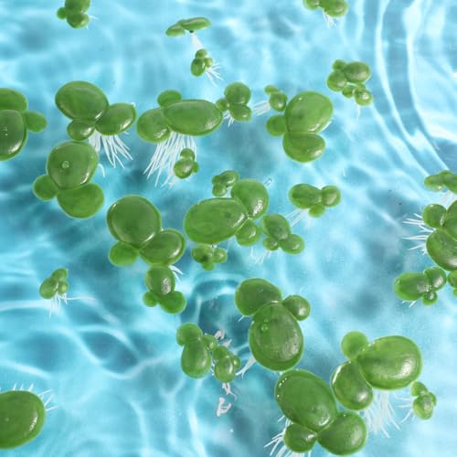 UKCOCO Aquarium Dekoration 2 Packs/ 36PCS Simulierte Wasserlinsen- Pflanze Kunststoff- Wurzelwasserpflanze (grün)