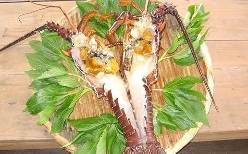 伊勢海老ひもの