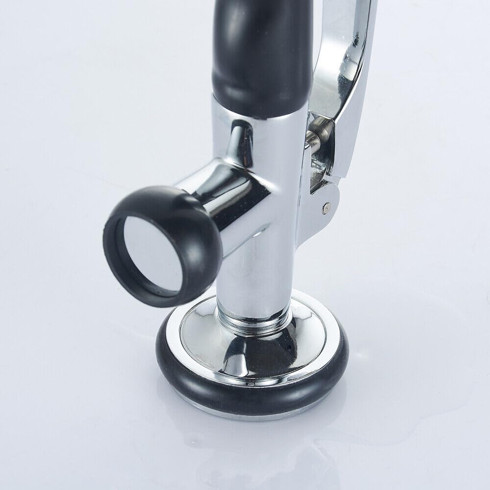 Alcachofa de mano profesional para gastro (1/2", acero inoxidable, repuesto para ducha de gastroductora)