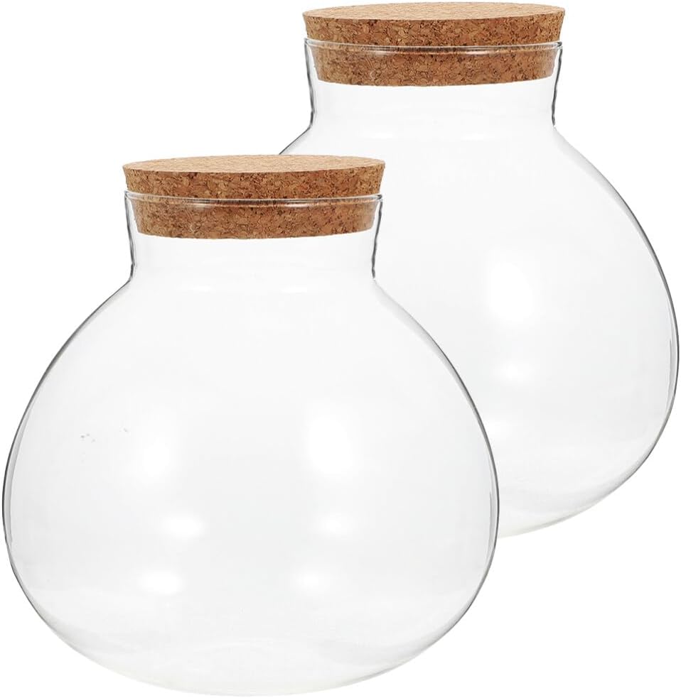 BESPORTBLE Ecological Bottle Set - 2Pcs Round Transparent Glass Terrarium Jars with Cork Lid for Miniature Landscape Decor