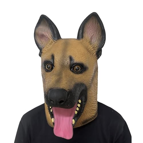 [IMPACTIC]  蕨 Aj} }XN nEB RXv   A  (h[x})