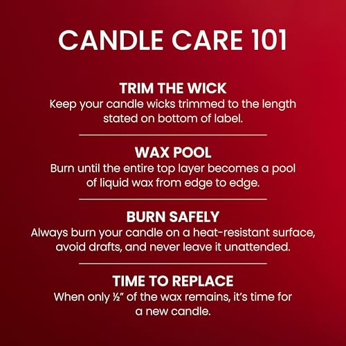Yankee Candle Large Jar Scented Candle with up to 150 Hour Burn Time, Premium Plant Wax Blend for Consistent Burn, 22 oz Jar Candle with Room Filling Fragrance, Macintosh