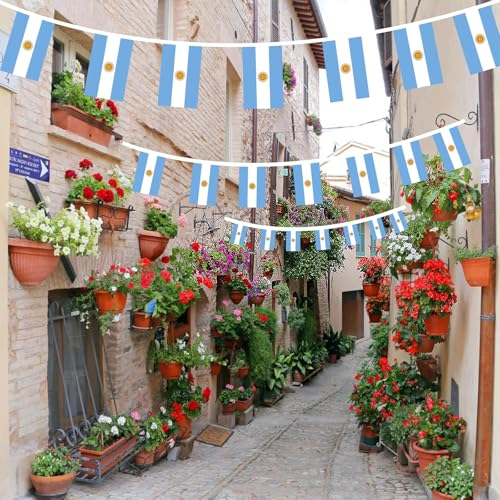 Image of AhfuLife 66 Ft Argentina String Flags Banner for Party Decor, 60 Pcs Small Argentina Bunting String Flags - Double Sided for Independence Day World cup Olympics Bar Party Celebration Decoration (5.5x8.3 Inch)