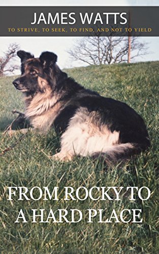 Télécharger From Rocky To A Hard Place: One man's life of working in the front line as a Firefighter and Policem Gratuit