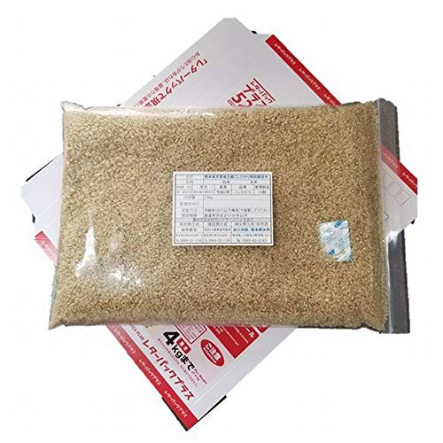 新米 令和7年 熊本県 天草地方産 こしひかり 特別栽培米 玄米 1升(1.5kg)パック