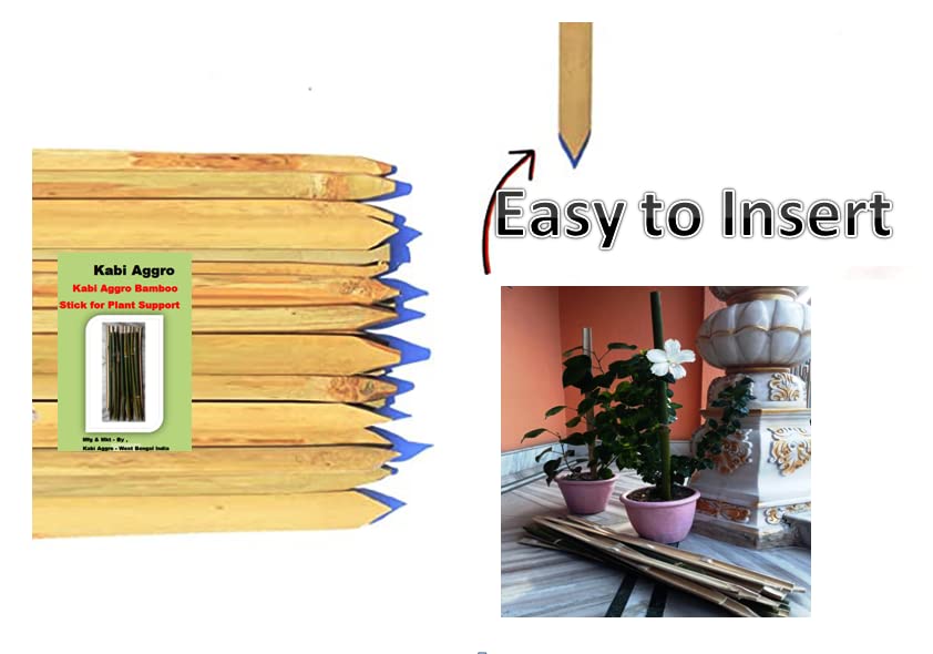 Kabi Aggro® Bamboo Sticks for Plants Support (Pack of 20 Piece) Height 4 Feet with Jute Rope 100 feet/Plant Support Sticks Height Sticks 4Feet - Image 3 thumbnail