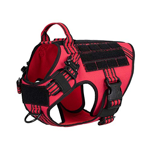 Best Front Hook Harness For Dog