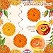 Trandraft 36 Pcs Marigold Flower Diwali Decorations Day of The Dead Dia De Los Muertos Marigold Flower Decorations Hanging Streams Swirls for Home Pooja Indian Varalakshmi Altar Ofrenda Decor