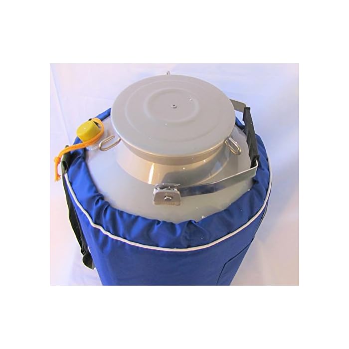 Buy Liquid Nitrogen Ln2 Storage Tank, Cryo Container Dewar, with