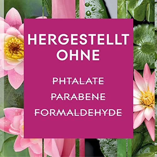 Glade Duftspray für langanhaltende Frische in allen Räumen, Lufterfrischer Spray, Relaxing Zen, 1er Pack (1 x 300 ml) 3