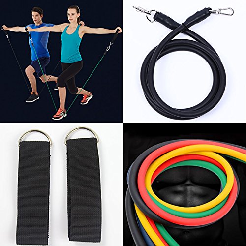 Fansport – Kit 11 peças, Elásticos para Exercício Funcional