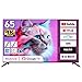 MAXZEN テレビ 65型 Googleテレビ 65インチ グーグルテレビ 65V Dolby Atmos Dolby Vision 4K対応 地上・BS・110度CSデジタル 外付けHDD録画機能 HDMI3系統 HDR Youtube Netflix Amazon Prime video ABEMA U-NEXT 視聴可能 MVU65CH06 マクスゼン