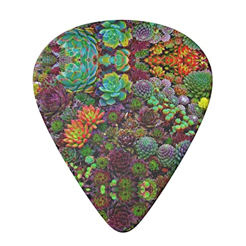 Succulent Lot de 6 médiators pour guitare acoustique, guitare électrique, basse, ukulélé – fin, moyen et épais. - Les Beatles, Paul McCartney, John Lennon, RIngo Starr, George Harrison Succulent Lot de 6 médiators pour guitare acoustique, guitare électrique, basse, ukulélé – fin, moyen et épais. – Image 4