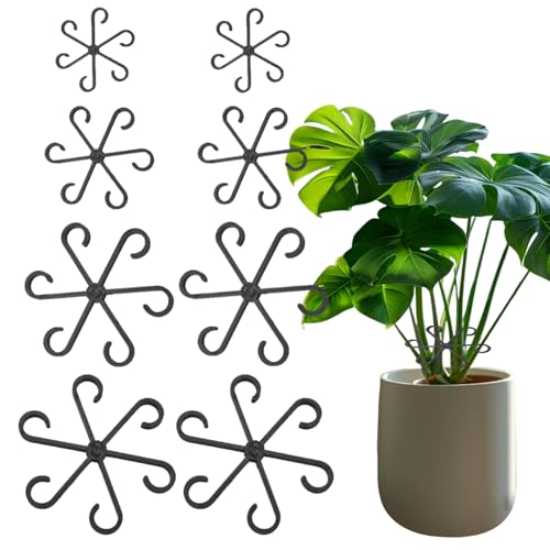 Monstera Lot de 8 tuteurs pour plantes grimpantes Monstera, support de plantes, support de plantes, hortensias Alocasia, tuteur pour plantes d'intérieur