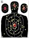 Big Dawg Targets - 18 X 24 Inch Silhouette Reactive Splatter Target - 10 Pack