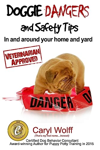 Doggie Dangers and Safety Tips: Preventing Accidents In and Around
