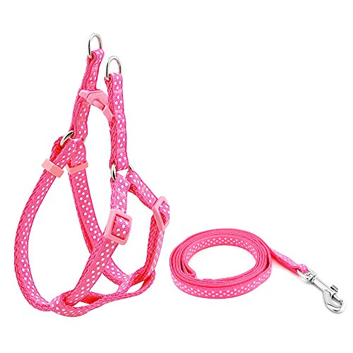 Petit Pois Pour Chien Les 15 meilleurs produits dans la comparaison Guidecanin.fr Guide