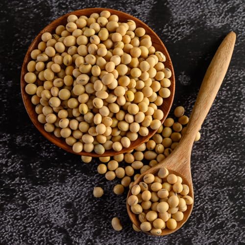semillas de soja, orgánicas variedades antiguas Semillas de edamame, Glycine max, de invierno resistentes 100pcs