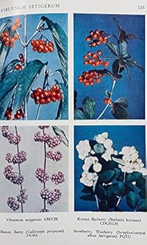 Hardcover Favorite Flowers in Color [Middle_English] Book
