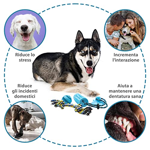 Set Giochi per Cani, da Masticare, Anti Stress