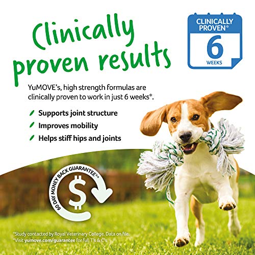 Lintbells | YuMOVE ausgewachsener Seniorin Hund | Hüft- und Gelenkergänzung & enktabletten für Hunde mit Grünlippmuschel, Glucosamin