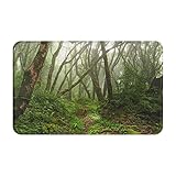 JISMUCI Fußmatte innen rutschfeste Schmutzfangmatte Waschbar Türmatte Wald gruseliger tropischer exotischer Nebel-Dschungel im Regenwald-Nepal-Klima für Eingangsbereich Haustür 50x80cm