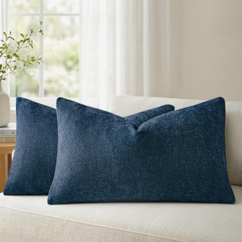 Image of a moment Pack of 2 Decorative Throw Pillow Covers with Twill Cushion Covers for Sofa Living Room Couch Bed 12x20 Inch Blue