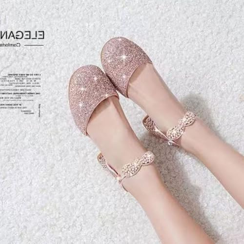 HROYL Flower Girls Wedding Party Ballroom Low Heel Princess Shoes Closed Toe Dance Shoes Ballet Flats,Model DS632