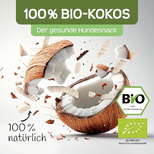 RAW Nature Bio-Kokos-Sticks Hundesnack, 300g, 100% Kokos, Zahnpflege – Ansicht 4