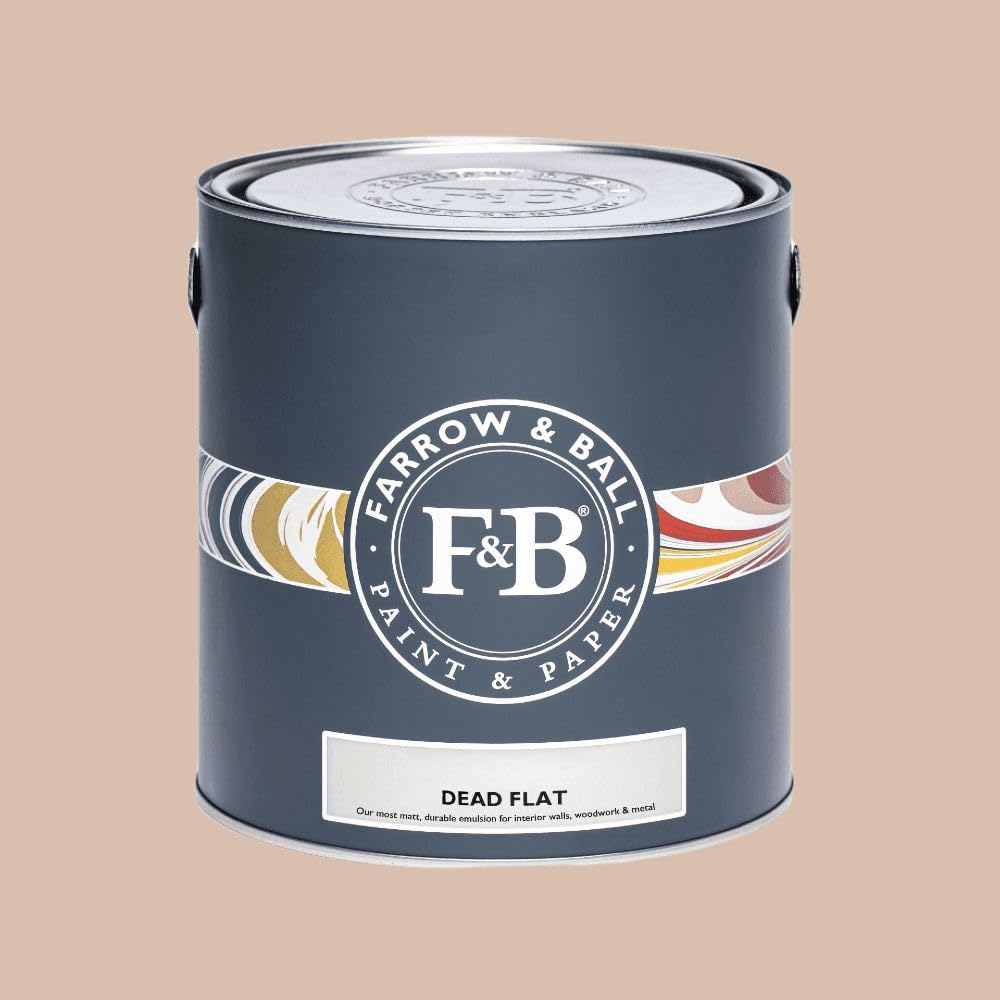 Paint Stop Mixed Colour Farrow & Ball Dead Flat 231 Setting Plaster 2.5L
