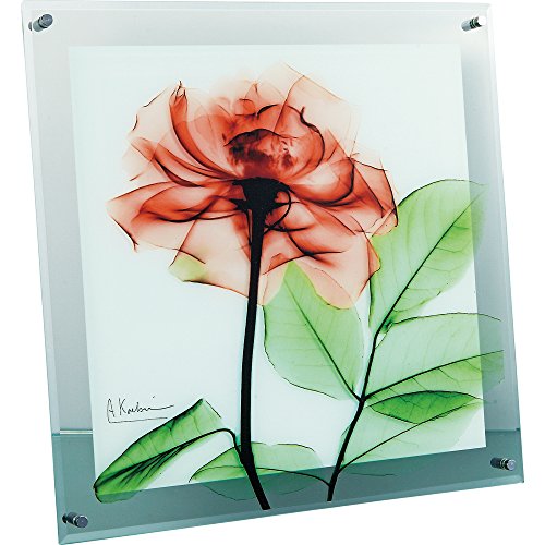 ユーパワー 植物 花 ローズ W36×H36×D2cm