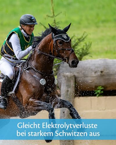 EQUISTRO® Energy Booster | Ergänzungsfuttermittel für Pferde | Hochkonzentrierte Nährstoffe für Ausdauer & Leistungsfähigkeit | Premium Qualität | 20g