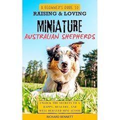 A Beginner&rsquo;s Guide to Raising & Loving Miniature Australian Shepherds Audiolibro Por Richard Bennett arte de portada