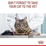 Royal Canin Hairball Care | 2 kg | Trockenfutter für ausgewachsene Katzen, die zu Haarballen neigen | Empfohlen zur Reduzierung von Haarballen | Zur Stimulierung der Darmpassage