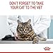 Royal Canin Hairball Care | 2 kg | Trockenfutter für ausgewachsene Katzen, die zu Haarballen neigen | Empfohlen zur Reduzierung von Haarballen | Zur Stimulierung der Darmpassage