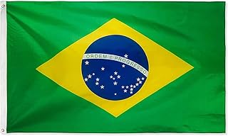 3ft x 5ft Brazil Flag Large – Vivid Colour, and Fade Resistant – 2023 Women’s Worldcup, Polyester Large Flags with eyelets | Brazilian Flag for World Cup 2023 | World Flags for Pubs, Festivals