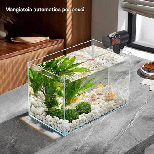 Alimentador automático para peces en acuarios pequeños y bañeras exteriores 3