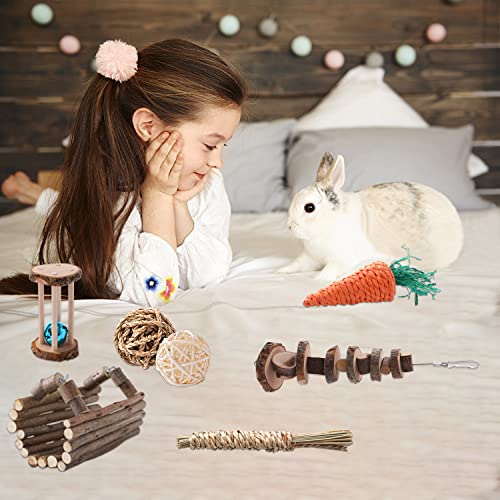 Rlrich 8 Pack Hamster Toys Hamster Chew Toys Accessories Cage Set For Teeth Care Organic Wooden Hammock Bell Roller For Guinea Pigs Syrian Dwarf Hamster Rat Chinchillas Gerbils Rabbits Bunny #TOP4