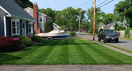 Twin City Seed Co. Tuff Turf, Tall Fescue & Kentucky Bluegrass, Full Sun To Heavier Shade, Great For Higher Traffic Areas, 1 Lb. Bag #TOP6