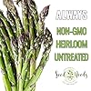 Seed Needs Asparagus Seeds for Planting Mary Washington Asparagus - Non-GMO Heirloom & Untreated Perennial Vegetable Seed to Plant an Outdoor Home Grown Garden (1 Pack) #4