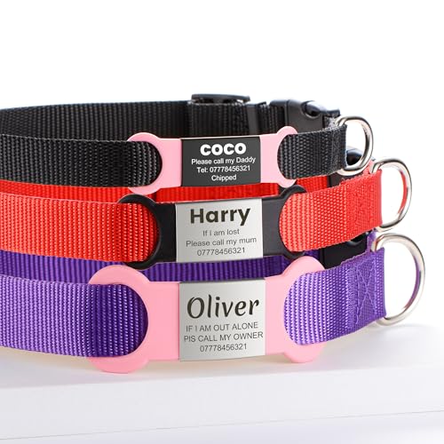 YEHANTI Nylon Hundehalsband mit Personalisiert Hundemarke, Komfortabel und Leise, Lasergraviertes Hundemarke mit Name, Adresse und Telefonnummer (Schwarz)