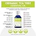 Tea Tree Oil by Ancient Nutrition, Organic Essential Oil, Therapeutic Grade, Creates Soothing, Uplifting Ambience, 15ml