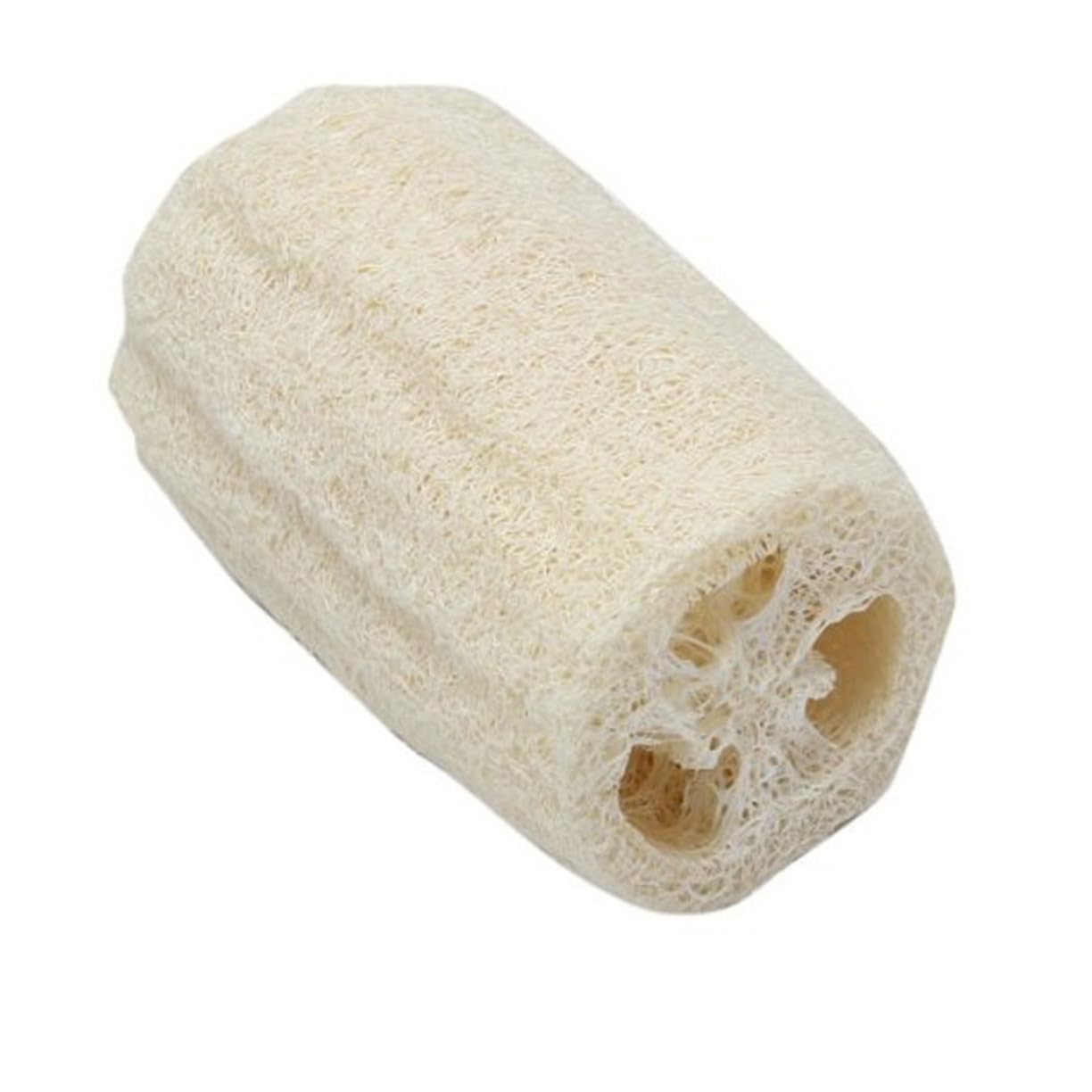SHERCHPRY Natural Loofah Shower Sponge Scrubber Bath Exfoliating Luffa for Gentle Cleansing Durable Natural Fibrous Material for Household Cleaning and Self Care