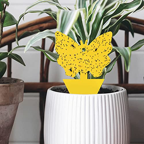 Garsum Yellow Sticky Fruit Fly Gnat Trap For Indoor/Outdoor Houseplant Sticky Bug Insect Catcher Glue Trappers #TOP2