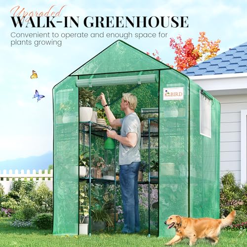 KING BIRD Premium Greenhouse for Outdoors, 56x56x77 in Walk-in Hot House by KING BIRD - Image 8